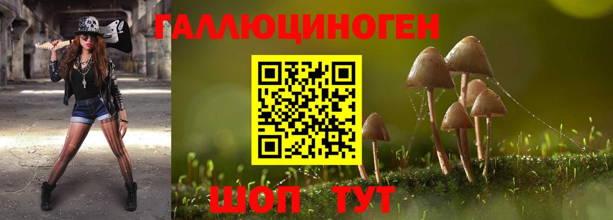 Трёхгорный  Псилоцибиновые грибы Magic Shrooms  Вход с VPN  Псилоцибиновые грибы Magic Shrooms 