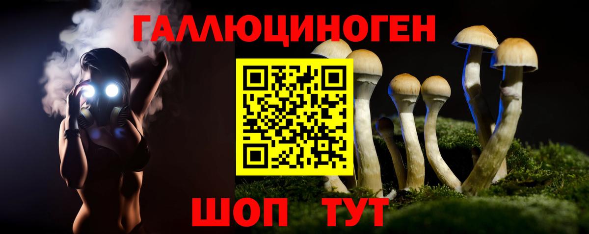 Галлюциногенные грибы мухоморы Трёхгорный